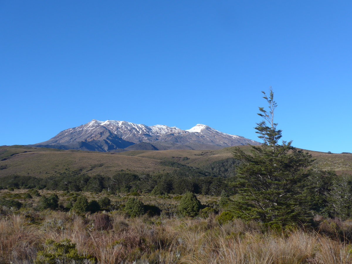 (191'321) - Der Mount Ruapehu vom Tongariro-Nationalpark aus am 25. April 2018 bei Whakapapa