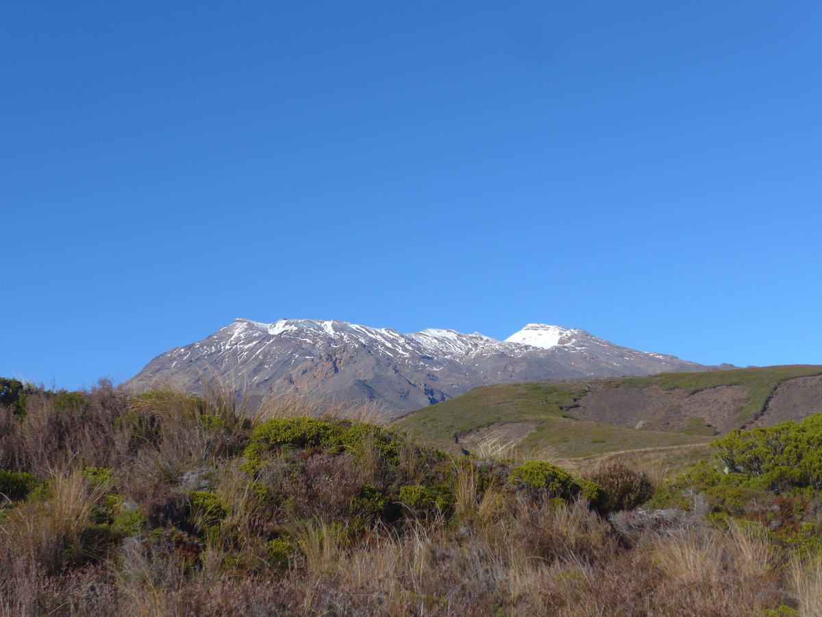 (191'356) - Der Mount Ruapehu vom Tongariro-Nationalpark aus am 25. April 2018 bei Whakapapa