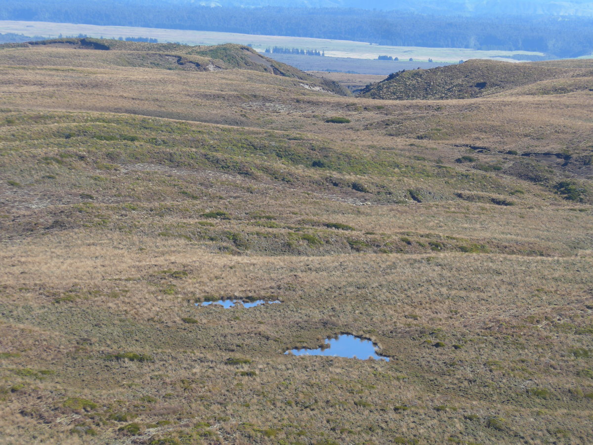 (191'377) - Zwei kleine Seelein im Tongariro-Nationalpark am 25. April 2018 bei Whakapapa