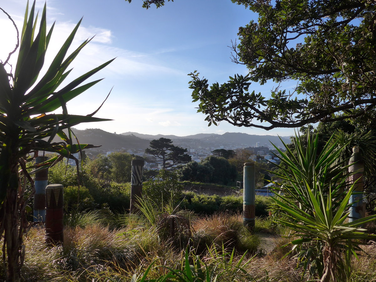 (191'534) - Blick durch die B�ume auf Wellington am 26. April 2018 vom ZOO aus