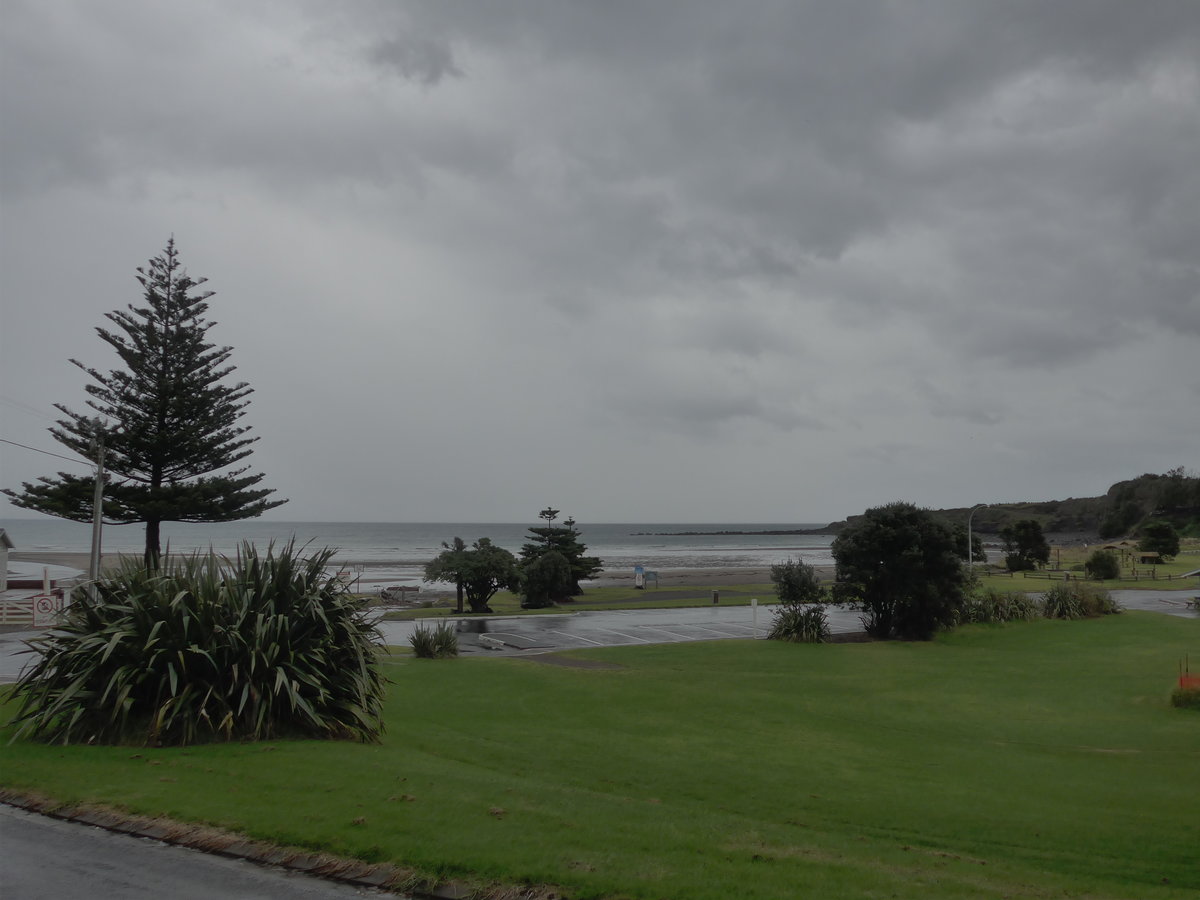 (191'833) - B�ume am Strand von Opunake am 28. April 2018