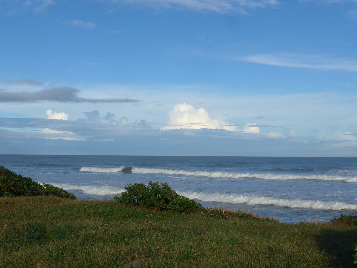 (191'864) - Wiese und Meer am 29. April 2018 bei Pungarehu