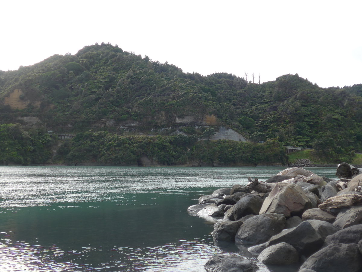 (191'871) - Wald am 29. April 2018 bei Tongaporutu