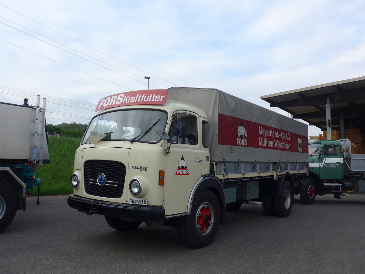 (192'336) - Meyerhans, Weinfelden - Nr. 10/TG 2593 U - Saurer am 5. Mai 2018 in Attikon, Wegm�ller