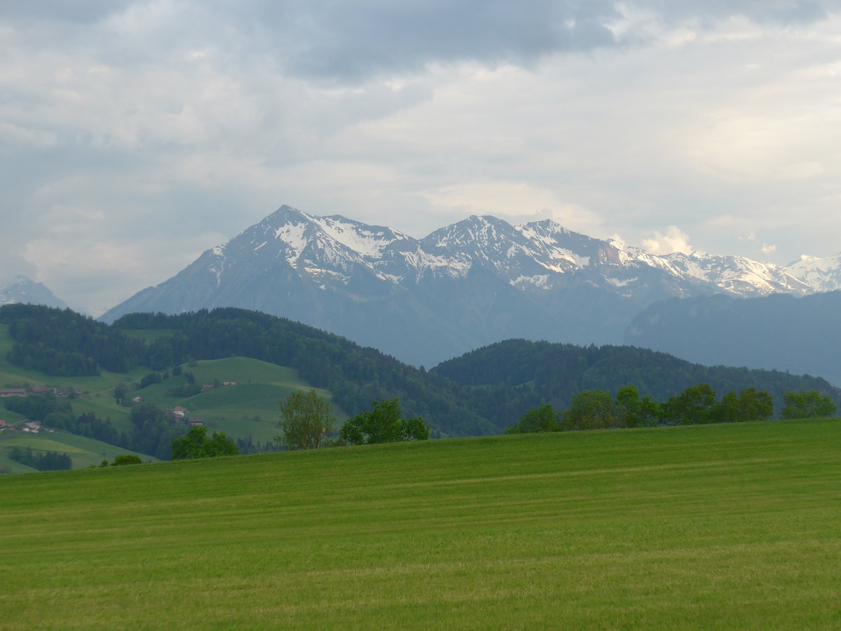 (192'968) - Der Niesen am 11. Mai 2018 von Fahrni aus