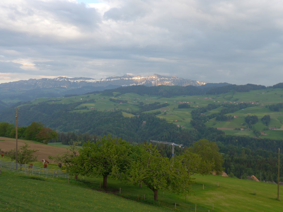 (192'993) - Der Sigriswilergrat am 11. Mai 2018 von der Lueg ob Fahrni aus
