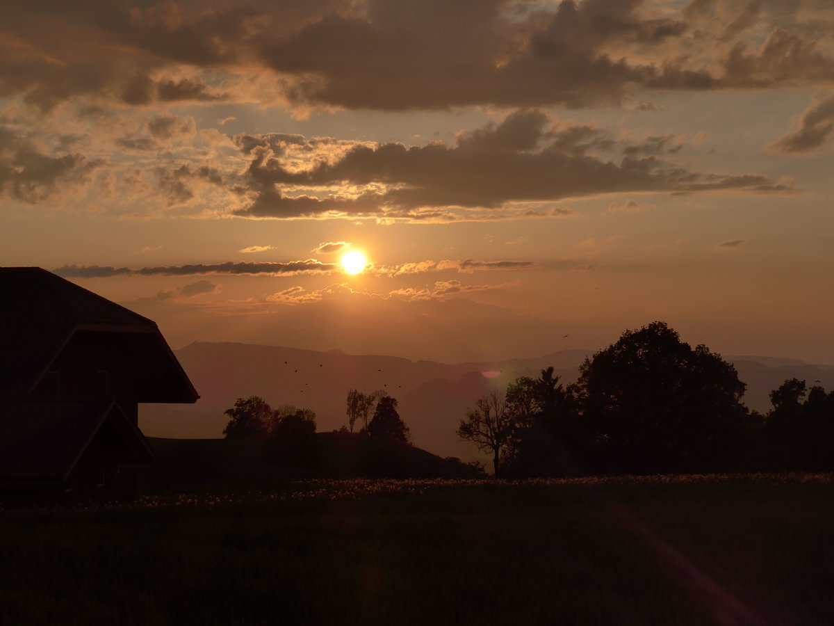 (193'000) - Abendstimmung am 11. Mai 2018 bei Fahrni