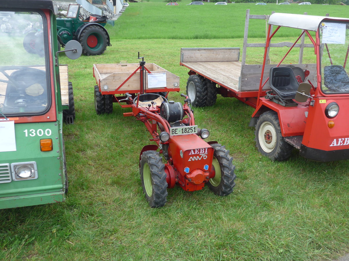 (193'590) - Aebi - BE 18'251 - am 27. Mai 2018 in Aeschlen