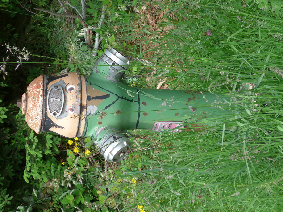 (193'701) - Hydrant - Nr. 7 - am 3. Juni 2018 in Emmenmatt, Moosegg