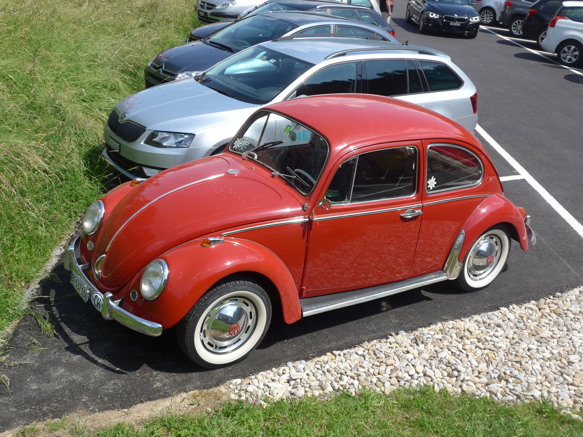 (193'734) - VW-K�fer - BE 537'104 - am 3. Juni 2018 in Trubschachen, Kambly