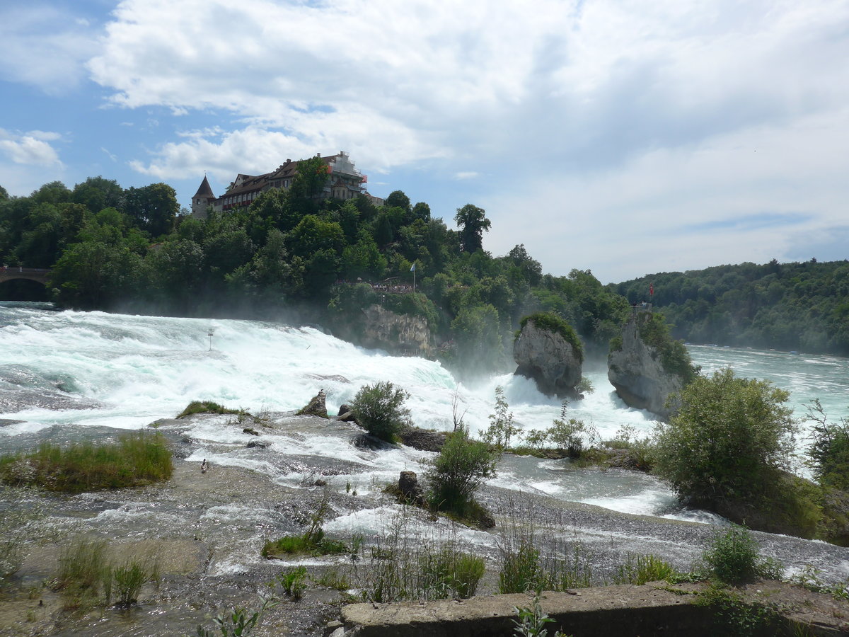 (193'959) - Der Rheinfall mit Schloss Laufen am 10. Juni 2018 bei Neuhausen