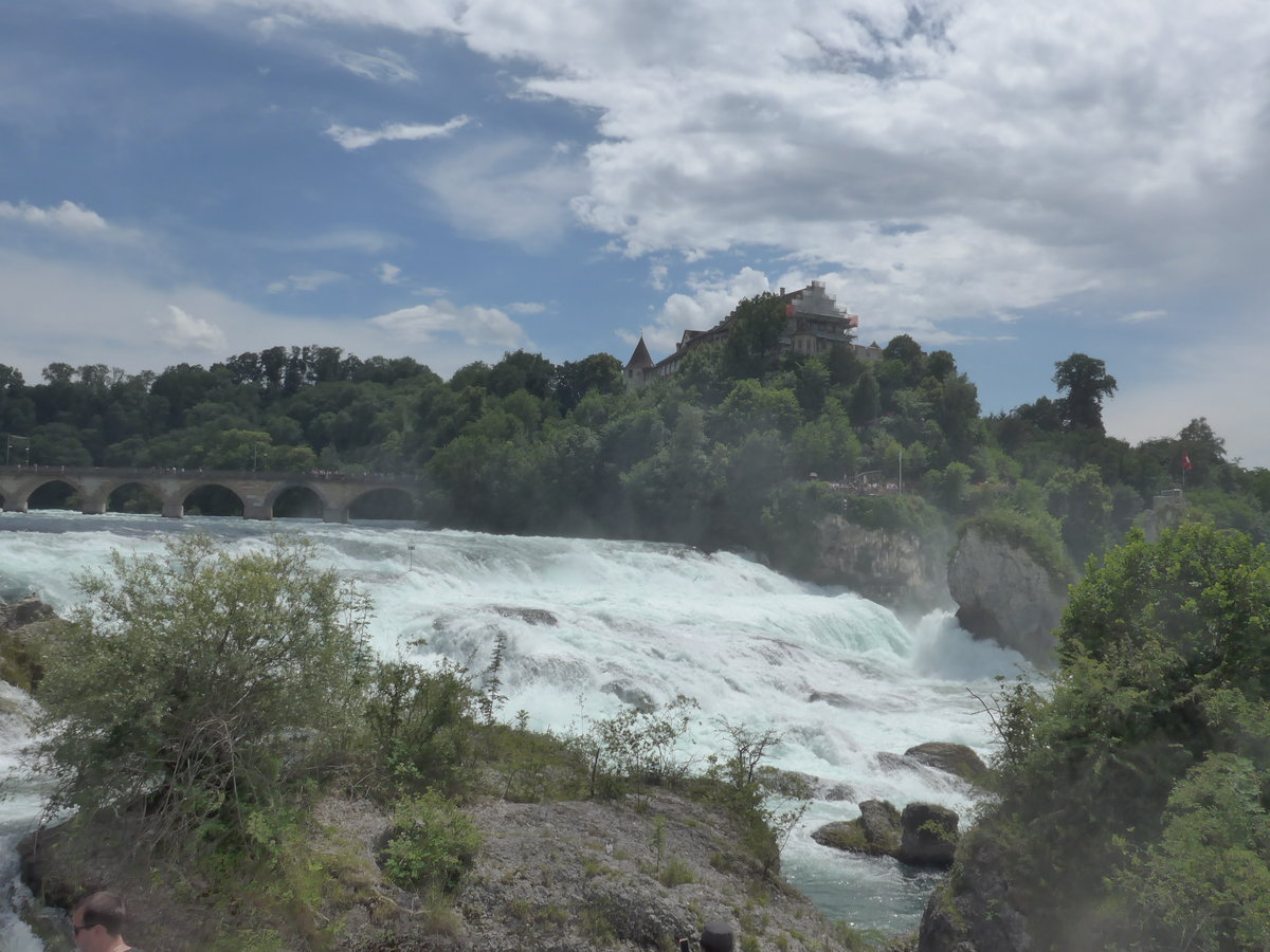(193'960) - Der Rheinfall mit Br�cke und Schloss Laufen am 10. Juni 2018 bei Neuhausen