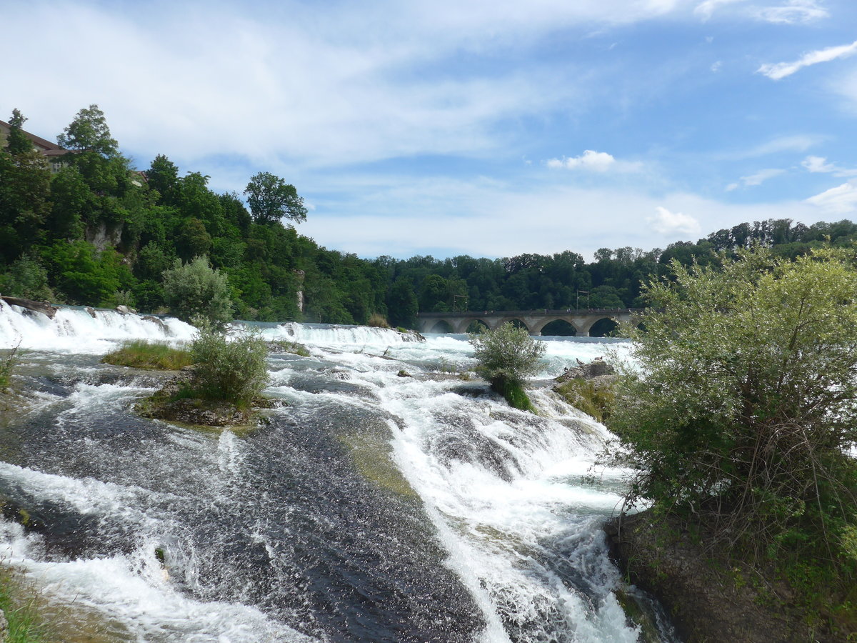 (193'961) - Der Rheinfall mit Br�cke am 10. Juni 2018 bei Neuhausen