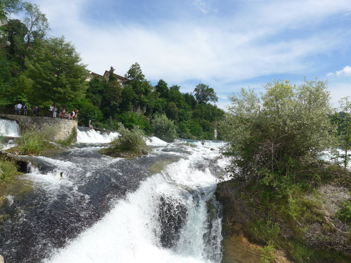 (193'962) - Der Rheinfall am 10. Juni 2018 bei Neuhausen