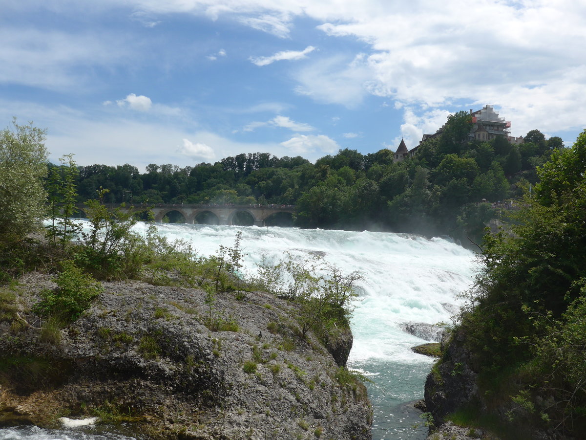 (193'963) - Der Rheinfall mit Br�cke und Schloss Laufen am 10. Juni 2018 bei Neuhausen