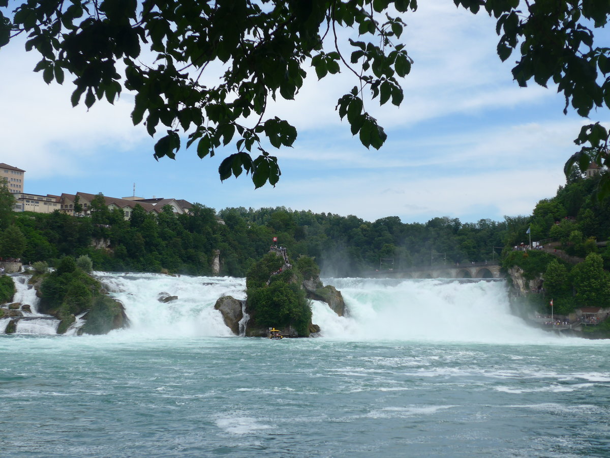 (193'976) - Der Rheinfall am 10. Juni 2018 bei Neuhausen