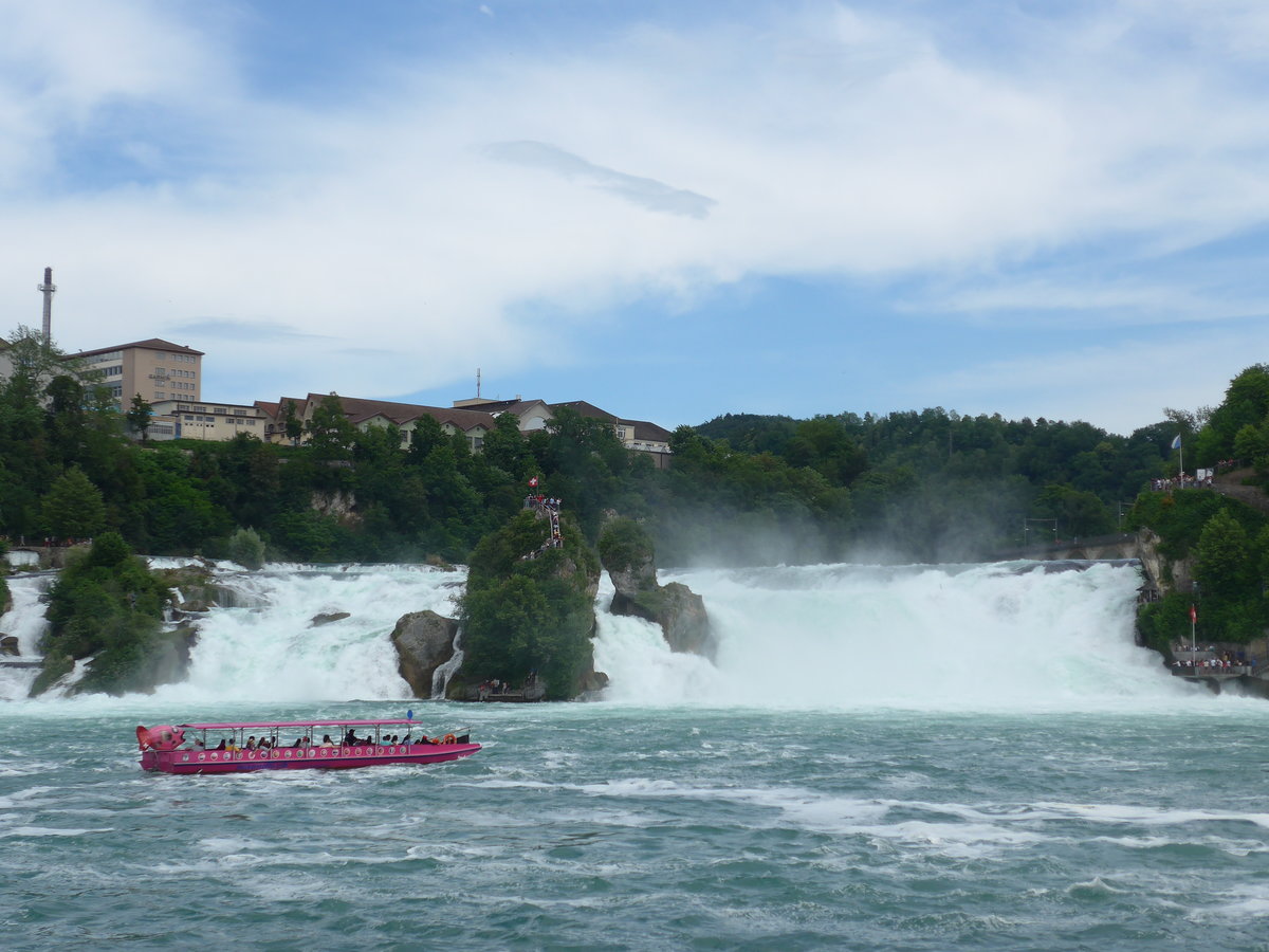 (193'977) - Rundfahrtenboot am Rheinfall am 10. Juni 2018 bei Neuhausen