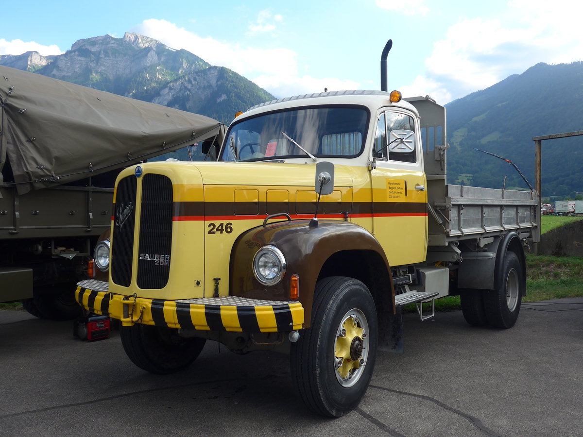 (194'325) - Ammeter, Emtal - Nr. 246 - Saurer (ex STI Thun Nr. 246) am 23. Juni 2018 in Interlaken, Flugplatz