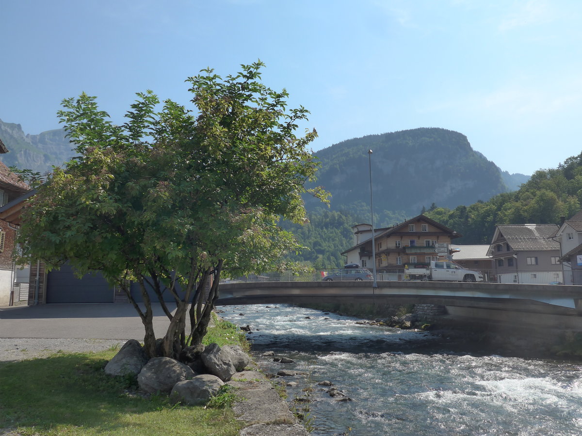 (195'402) - Holunderbaum mit Br�cke und Muota am 1. August 2018 in Muotathal