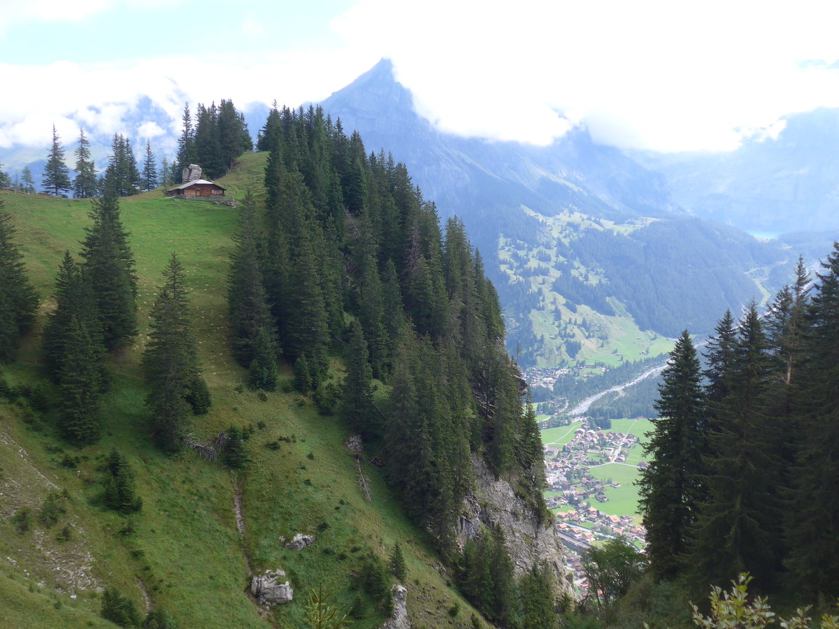 (195'960) - Alph�tte und Tannen mit Blick auf Kandersteg am 18. August 2018 auf der Allmenalp bei Kandersteg
