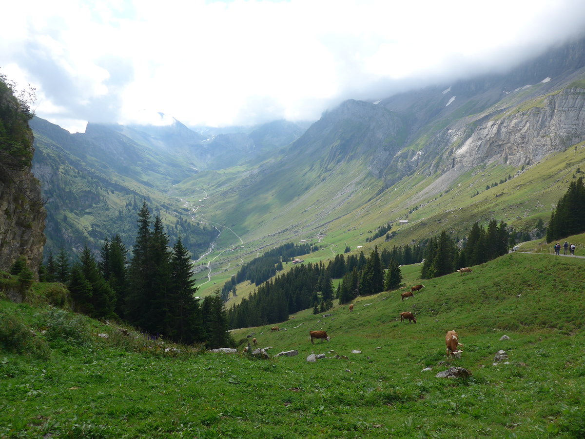 (195'977) - Ausblick vom Rycheb�rgli am 28. August 2018 bei Kandersteg