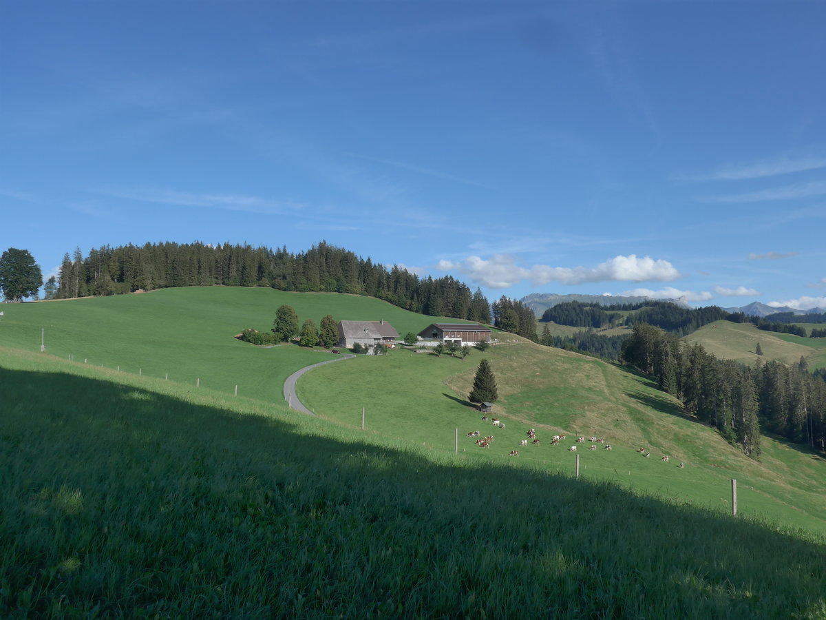 (196'208) - Aussicht am 26. August 2018 von Blapbach bei Trubschachen