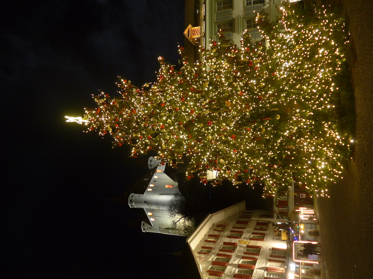(200'071) - Weihnachtsbaum mit Schloss am 20. Dezember 2018 in Thun