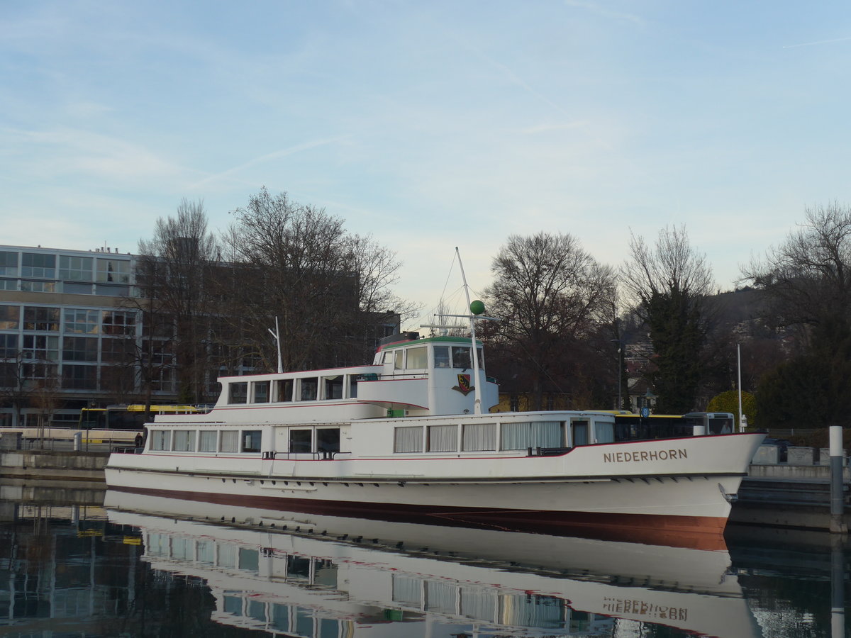 (201'315) - Motorschiff Niederhorn am 26. Januar 2019 an der Schiffl�ndte Thun