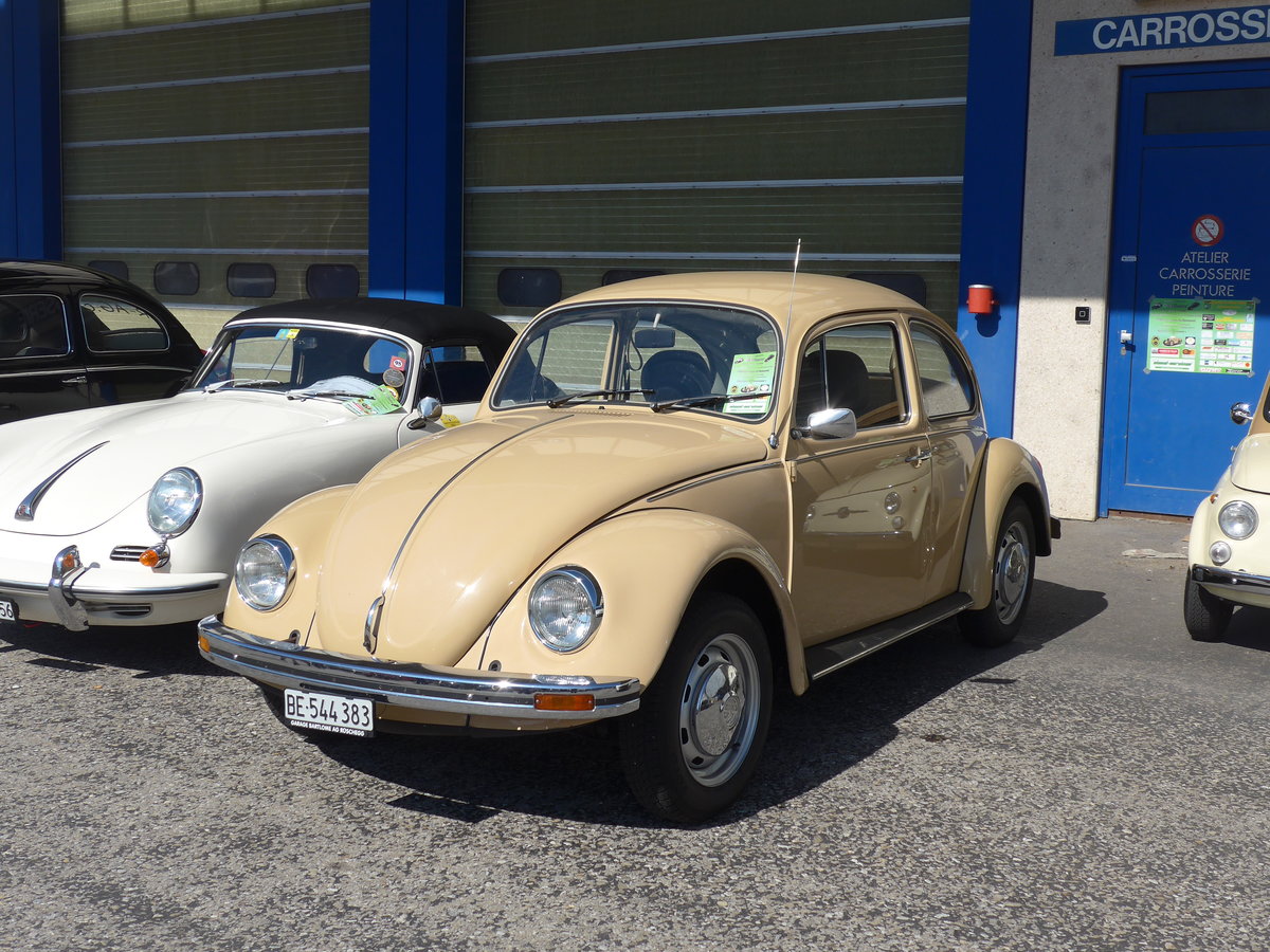 (203'134) - VW-K�fer - BE 544'383 - am 24. M�rz 2019 in Granges-Paccot, Forum-Fribourg