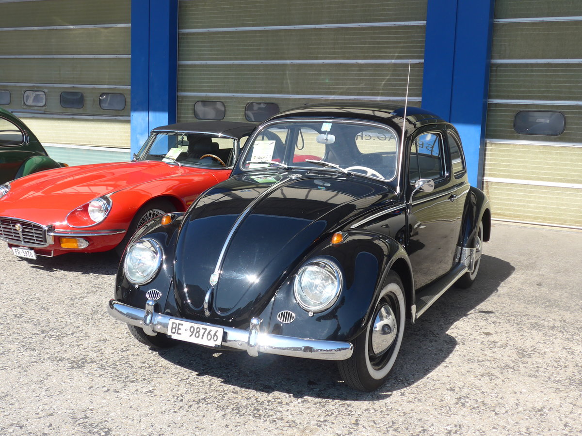 (203'135) - VW-K�fer - BE 98'766 - am 24. M�rz 2019 in Granges-Paccot, Forum-Fribourg