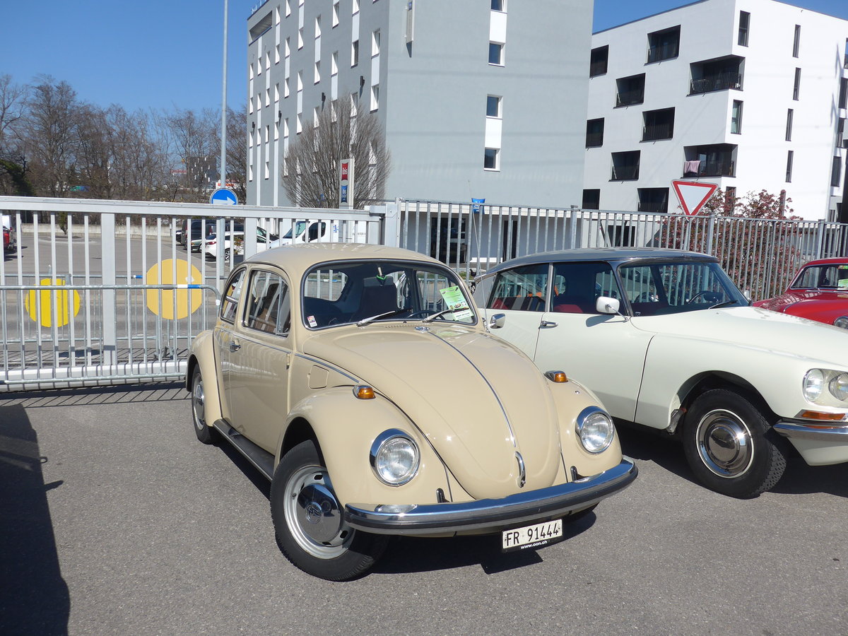 (203'151) - VW-K�fer - FR 91'444 - am 24. M�rz 2019 in Granges-Paccot, Forum-Fribourg