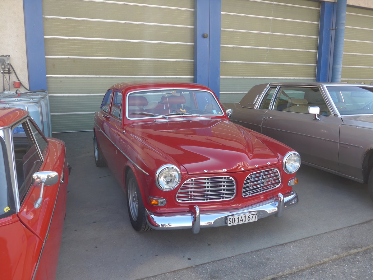 (203'202) - Volvo - SO 141'677 - am 24. M�rz 2019 in Granges-Paccot, Forum-Fribourg