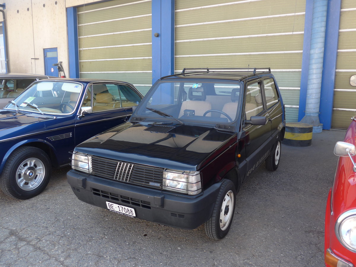 (203'204) - Fiat - BE 17'088 - am 24. M�rz 2019 in Granges-Paccot, Forum-Fribourg