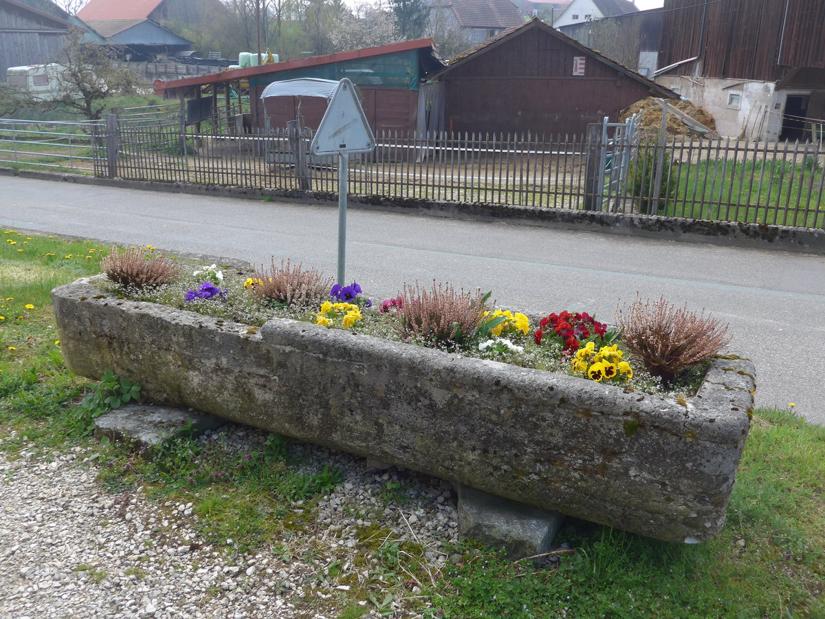 (203'715) - Brunnen mit Blumen am 15. April 2019 in Beurnev�sin