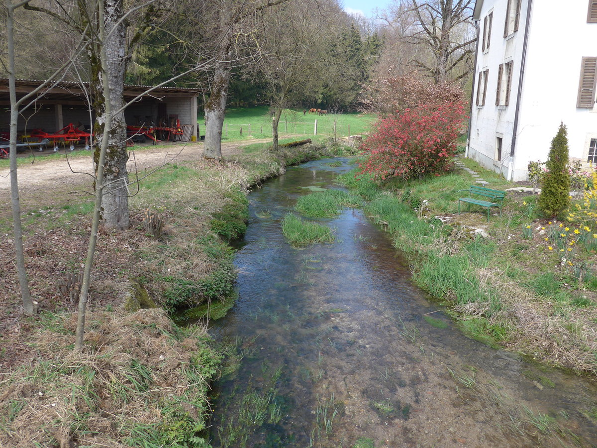 (203'718) - Die Vendline am 15. April 2019 in Beurnev�sin