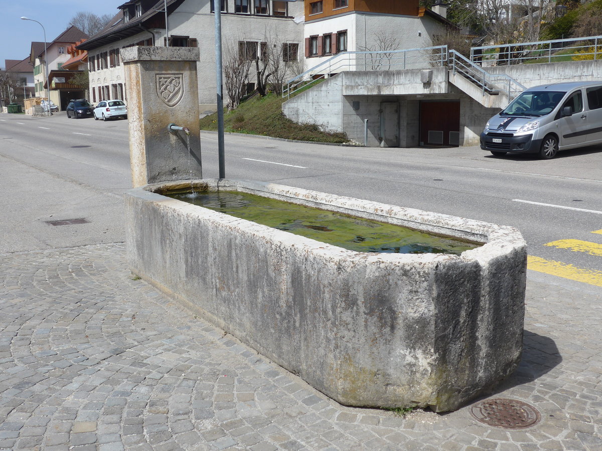 (203'881) - Brunnen am 22. April 2019 in Tramelan