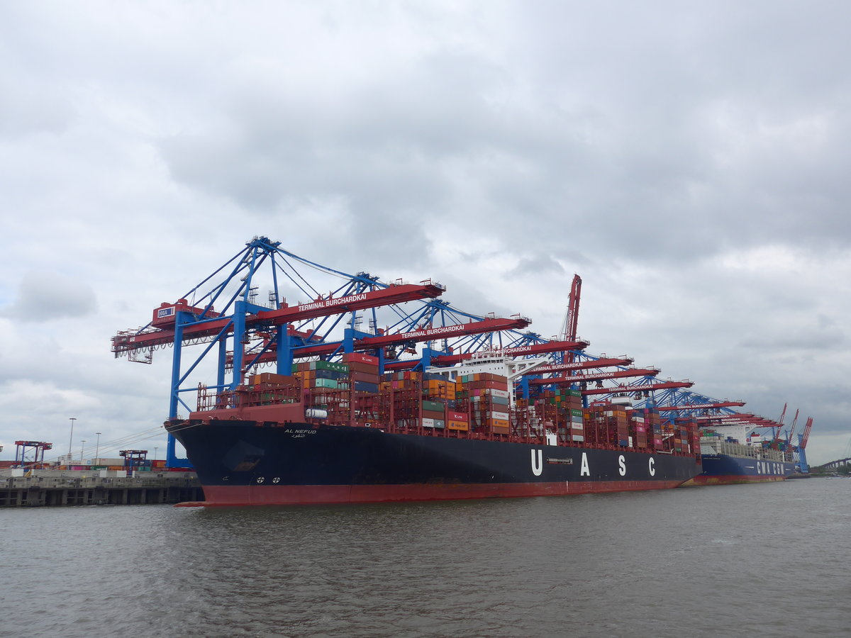 (204'799) - 830. Hafengeburtstag mit Schiffsparade am 10. Mai 2019 auf der Elbe in Hamburg