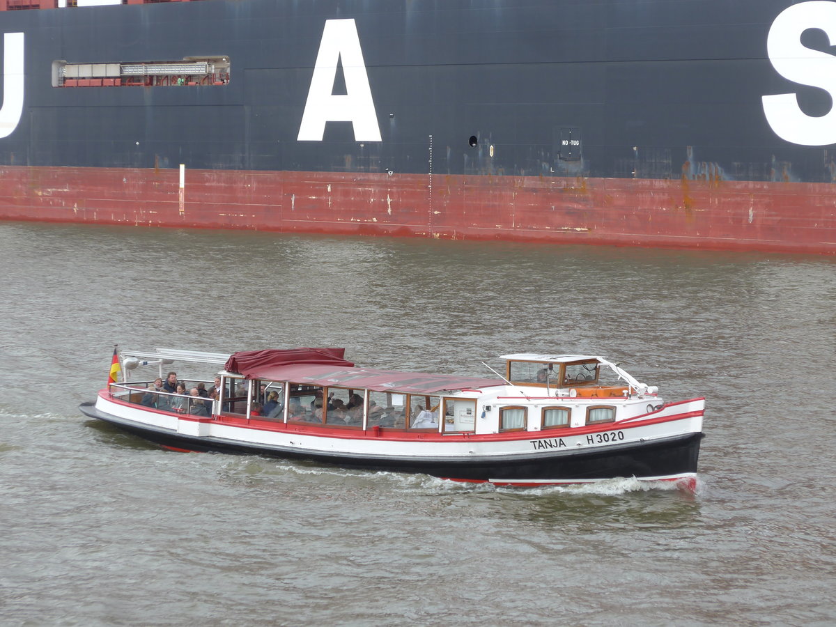 (204'801) - 830. Hafengeburtstag mit Schiffsparade am 10. Mai 2019 auf der Elbe in Hamburg