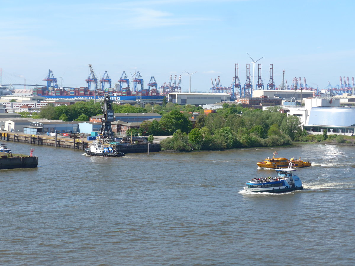 (204'904) - 830. Hafengeburtstag am 11. Mai 2019 auf der Elbe in Hamburg