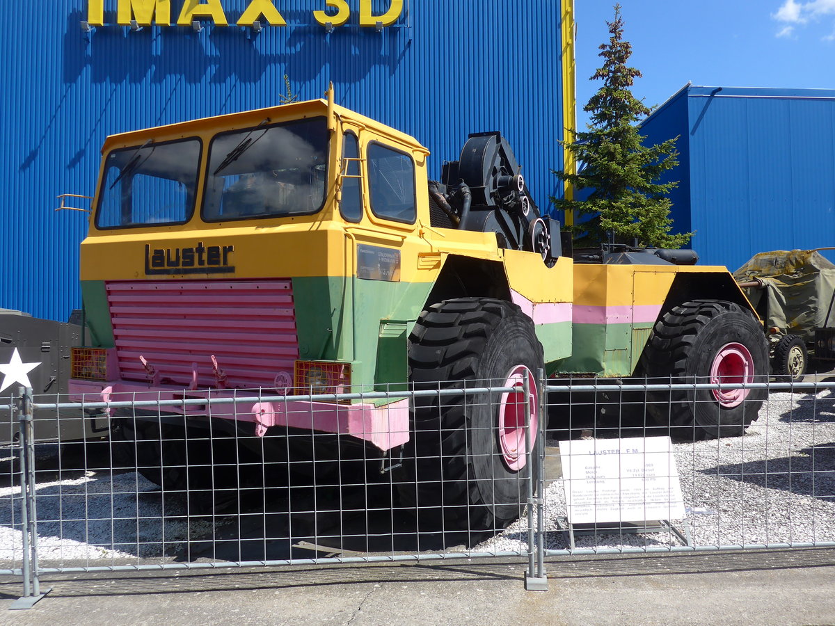 (205'182) - Lauster am 13. Mai 2019 in Sinsheim, Museum