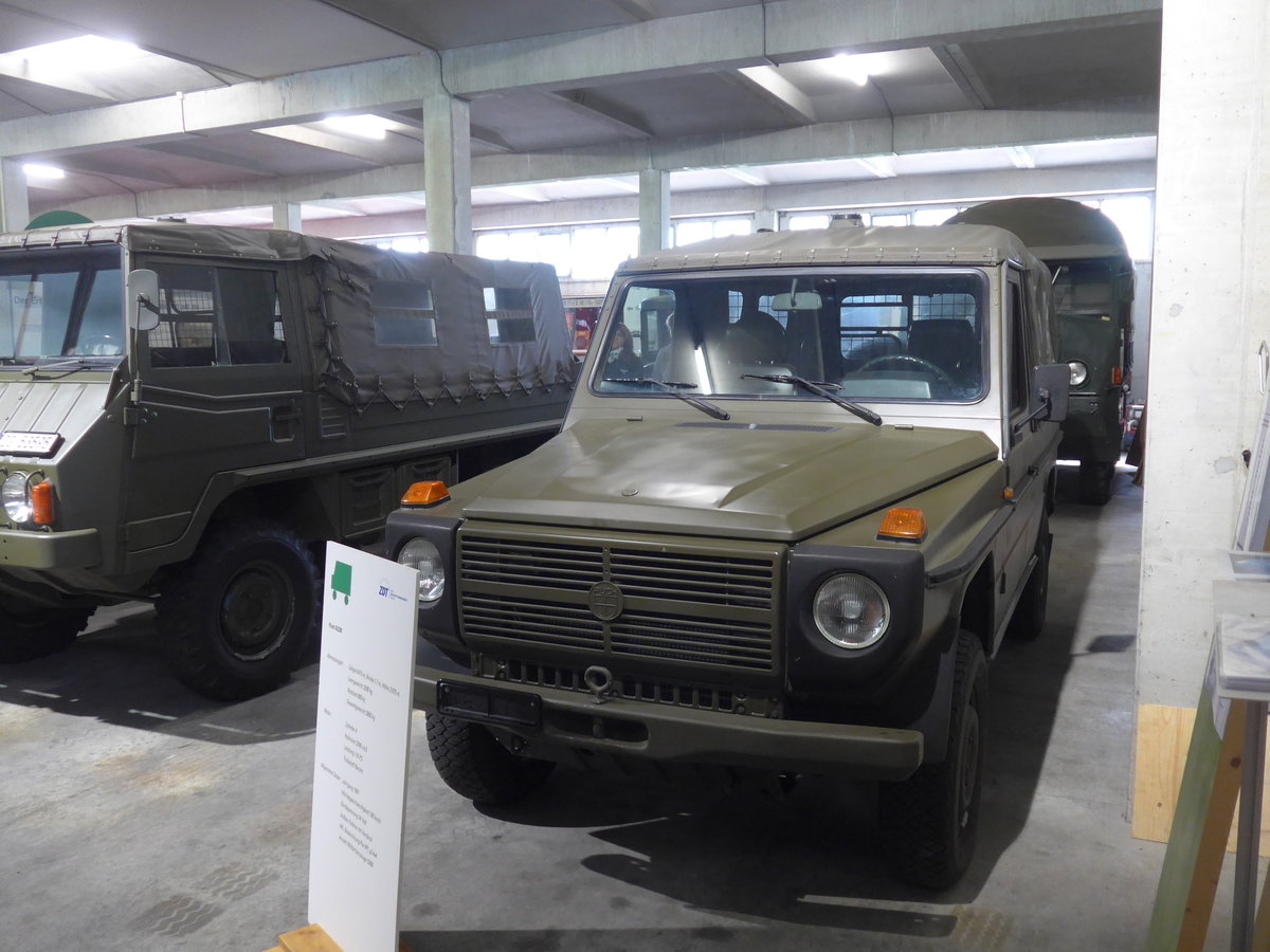 (205'254) - Puch am 18. Mai 2019 in Neuheim, ZDT