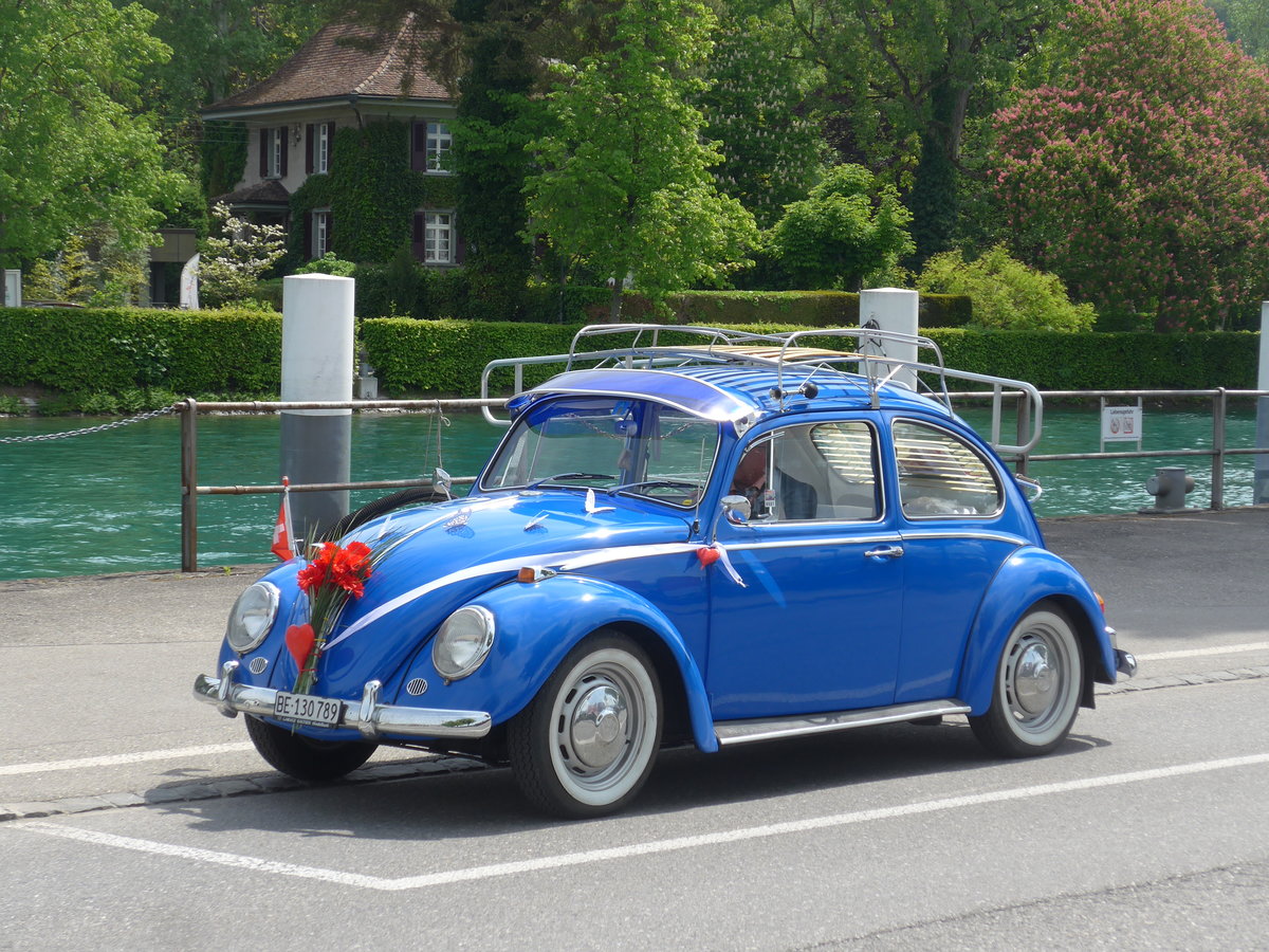 (205'351) - VW-K�fer - BE 130'789 - am 24. Mai 2019 bei der Schiffl�ndte Thun