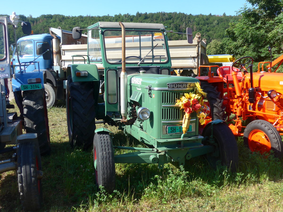 (205'777) - B�hrer - SH 1333 - am 8. Juni 2019 in Thayngen, Saurertreffen