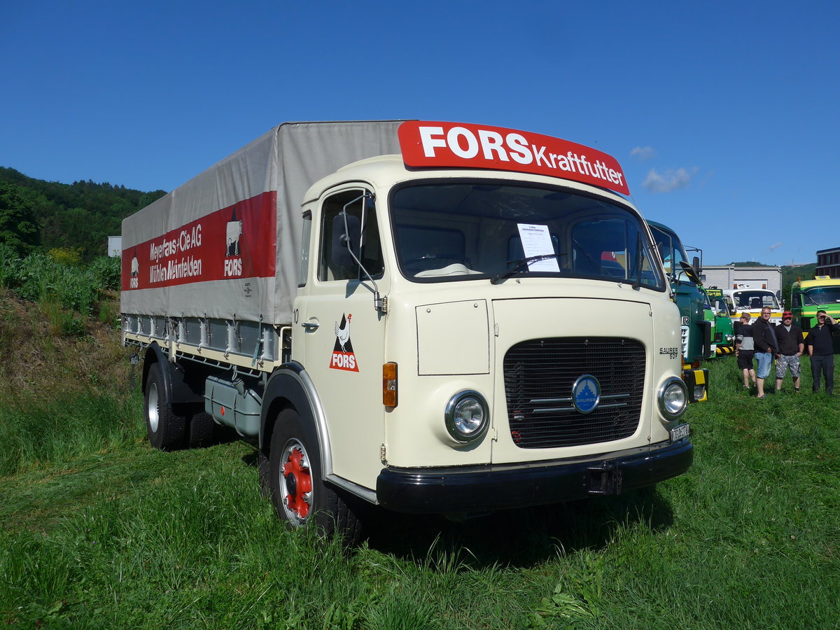 (205'794) - Meyerhans, Weinfelden - Nr. 10/TG 2627 U - Saurer am 8. Juni 2019 in Thayngen, Saurertreffen