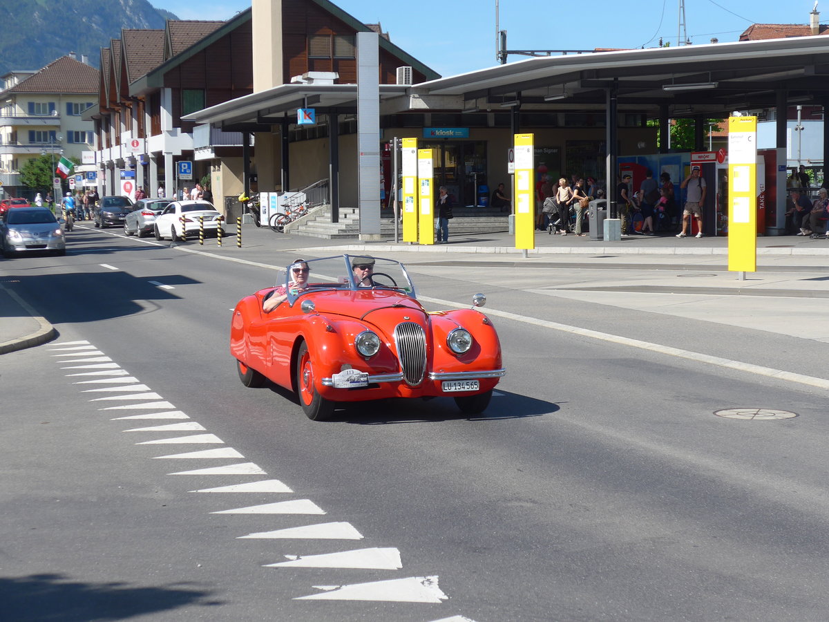 (206'123) - Jaguar - LU 134'565 - am 8. Juni 2019 in Sarnen, OiO