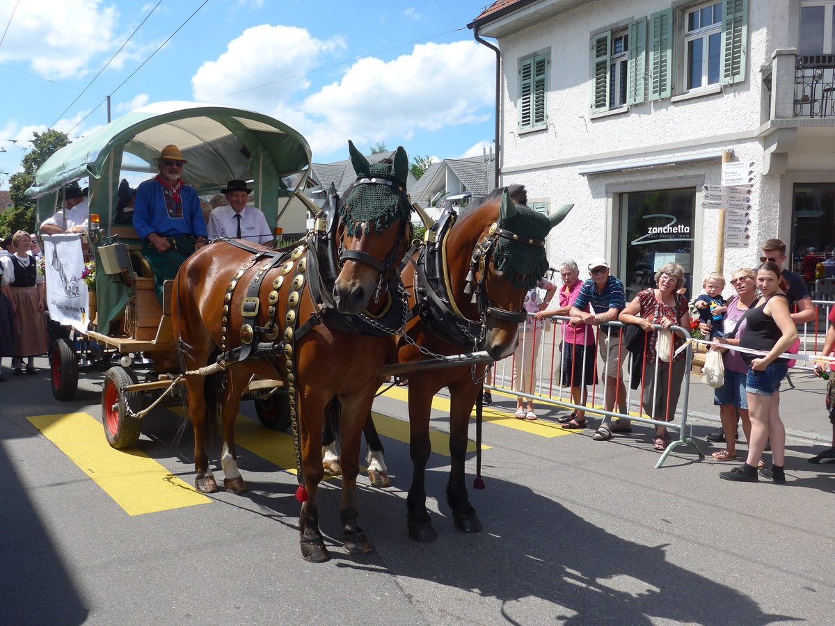 (206'736) - Zweisp�nner am 23. Juni 2019 am Jodlerfest-Umzug in Winterthur