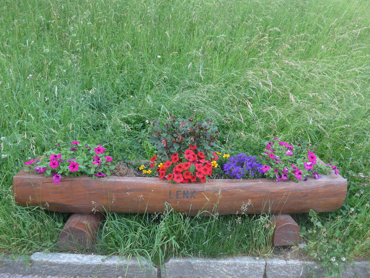 (206'938) - Blumentrog am 1. Juli 2019 an der Lenk