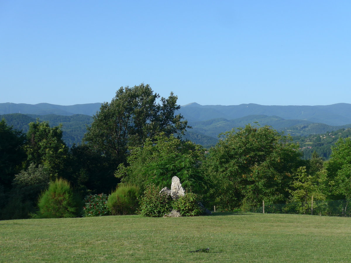 (206'980) - Str�ucher und B�ume am 3. Juli 2019 bei Gabrovo