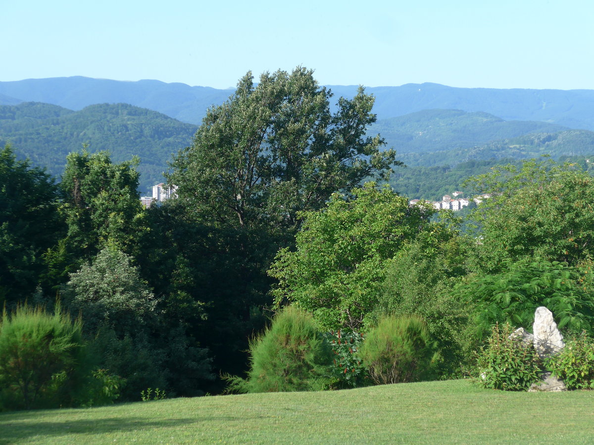 (206'981) - Str�ucher und B�ume am 3. Juli 2019 bei Gabrovo