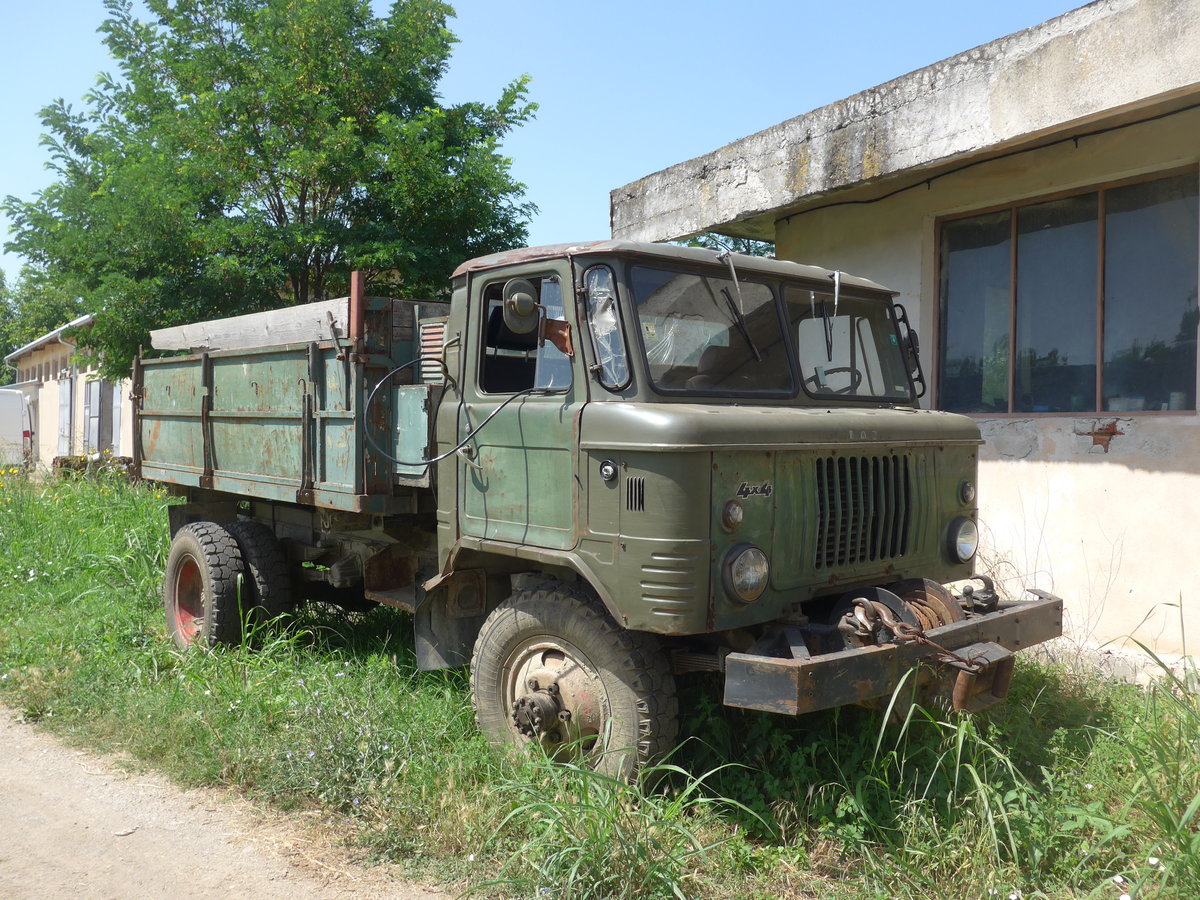 (207'002) - MAZ am 3. Juli 2019 in Levski